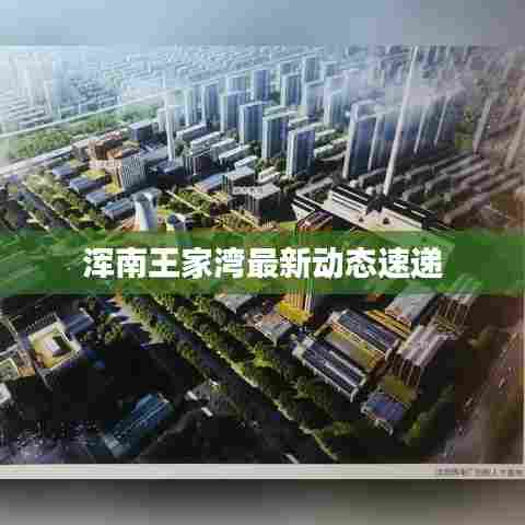 浑南王家湾最新动态速递