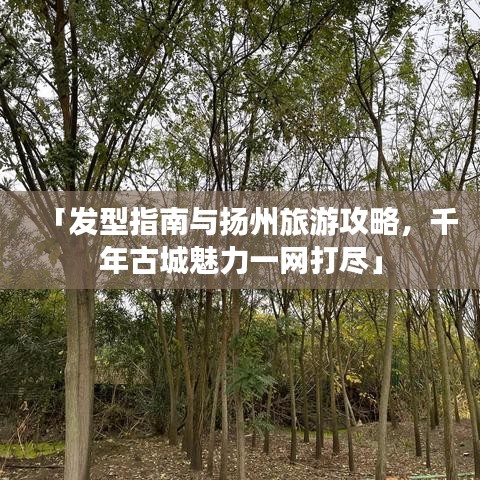 「发型指南与扬州旅游攻略,千年古城魅力一网打尽」