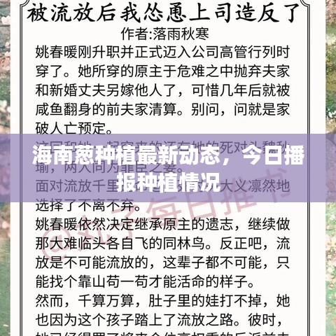 海南葱种植最新动态,今日播报种植情况