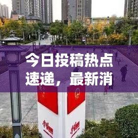 今日投稿热点速递,最新消息综述报道来袭!