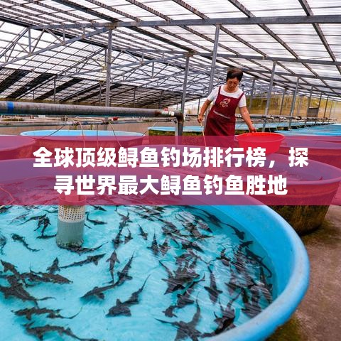 全球顶级鲟鱼钓场排行榜,探寻世界最大鲟鱼钓鱼胜地