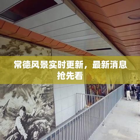 常德风景实时更新，最新消息抢先看