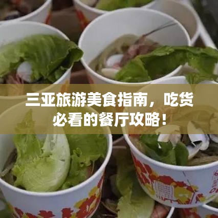 三亚旅游美食指南,吃货必看的餐厅攻略!