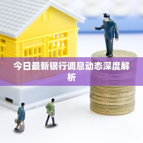 今日最新银行调息动态深度解析