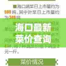 海口最新菜价查询报告,洞悉菜价动态,轻松掌握生活成本