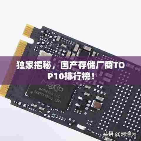 独家揭秘，国产存储厂商TOP10排行榜！