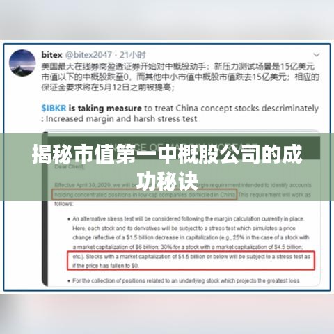 揭秘市值第一中概股公司的成功秘诀