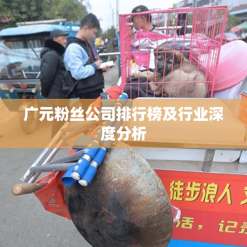 广元粉丝公司排行榜及行业深度分析