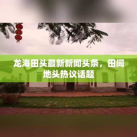 龙海田头最新新闻头条,田间地头热议话题