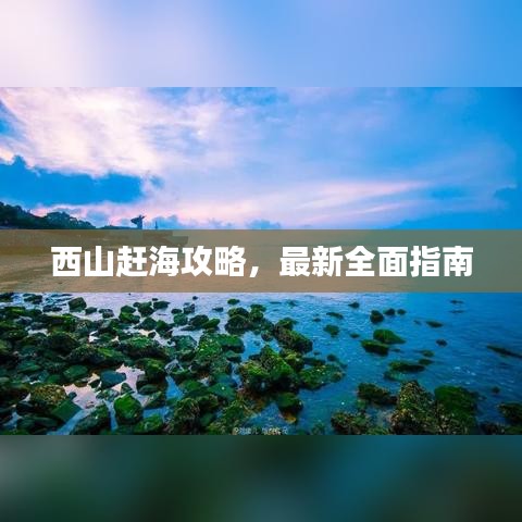 西山赶海攻略,最新全面指南