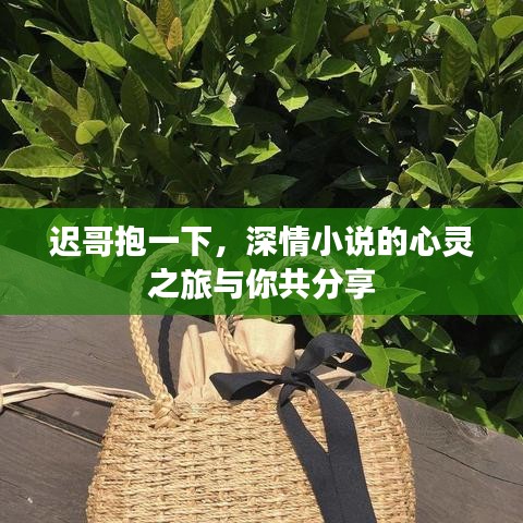 迟哥抱一下,深情小说的心灵之旅与你共分享