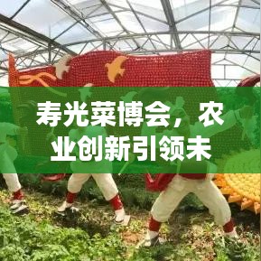 寿光菜博会，农业创新引领未来，新闻头条瞩目