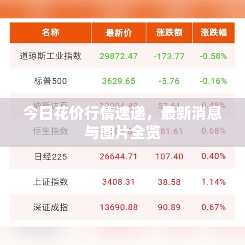 今日花价行情速递，最新消息与图片全览