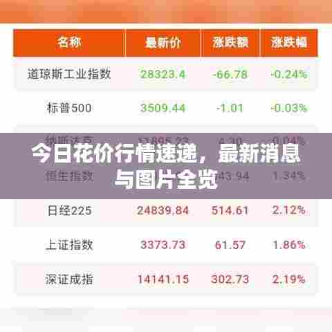 今日花价行情速递,最新消息与图片全览