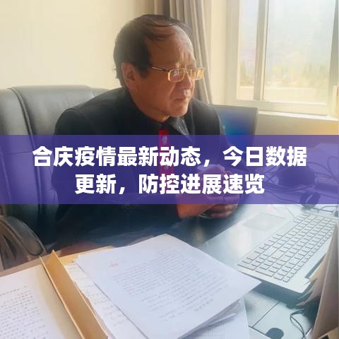 合庆疫情最新动态，今日数据更新，防控进展速览