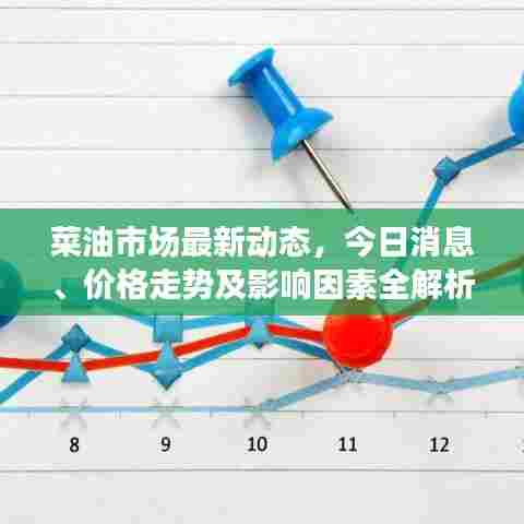 菜油市场最新动态，今日消息、价格走势及影响因素全解析