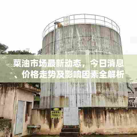 菜油市场最新动态,今日消息、价格走势及影响因素全解析
