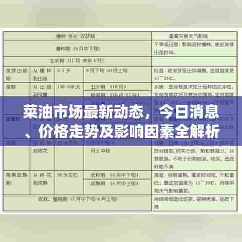 菜油市场最新动态,今日消息、价格走势及影响因素全解析