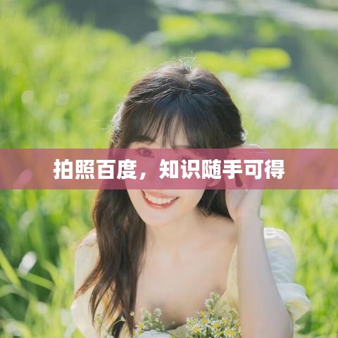 拍照百度，知识随手可得