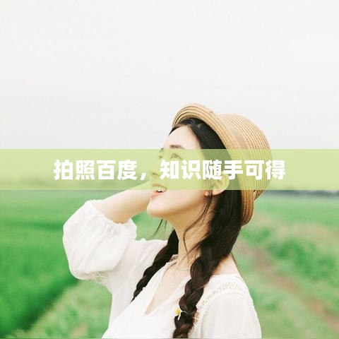 拍照百度,知识随手可得