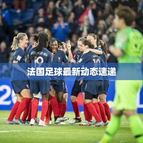 法国足球最新动态速递