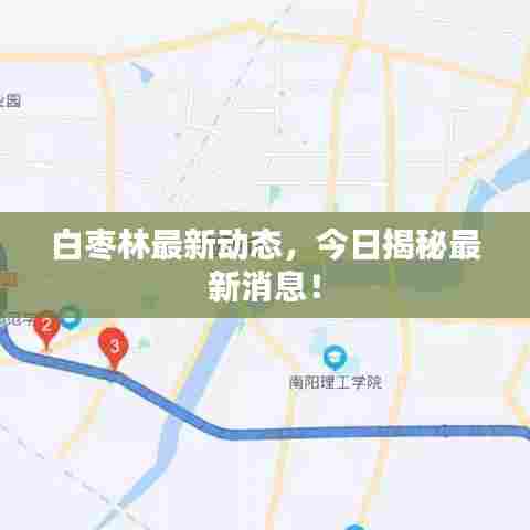 白枣林最新动态,今日揭秘最新消息!