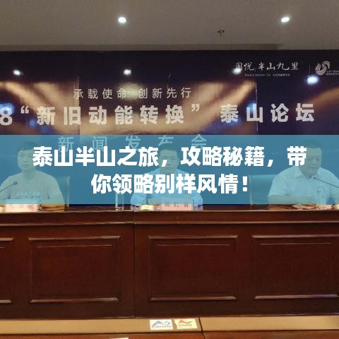 泰山半山之旅,攻略秘籍,带你领略别样风情!