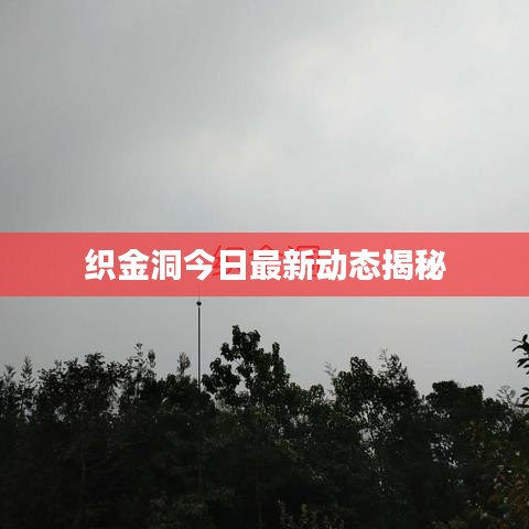 织金洞今日最新动态揭秘