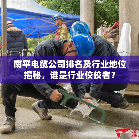 南平电缆公司排名及行业地位揭秘,谁是行业佼佼者?