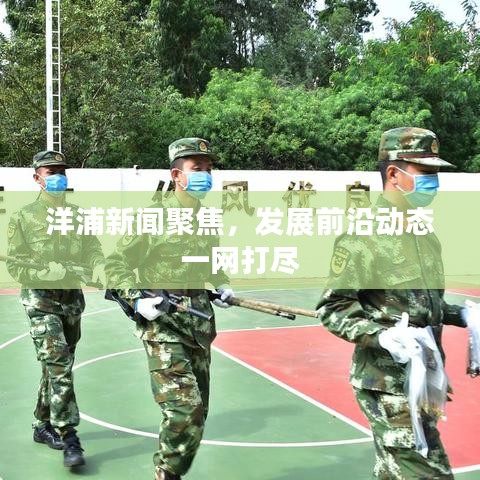 洋浦新闻聚焦,发展前沿动态一网打尽