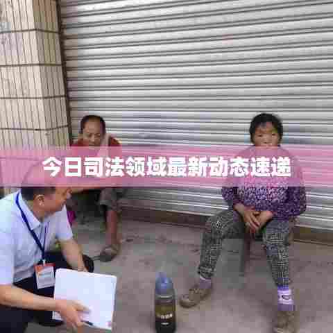 今日司法领域最新动态速递