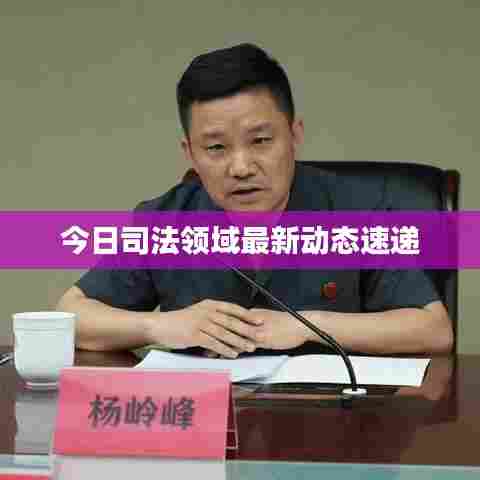 今日司法领域最新动态速递