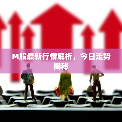 M股最新行情解析,今日走势揭秘