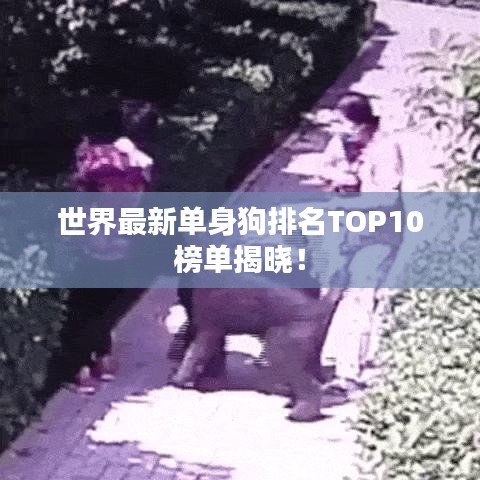 世界最新单身狗排名TOP10榜单揭晓!