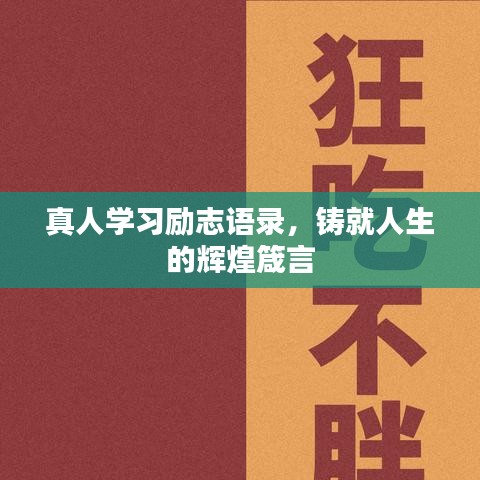 真人学习励志语录,铸就人生的辉煌箴言