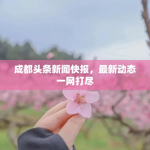 成都头条新闻快报,最新动态一网打尽