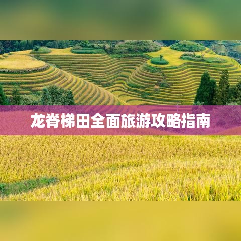 龙脊梯田全面旅游攻略指南