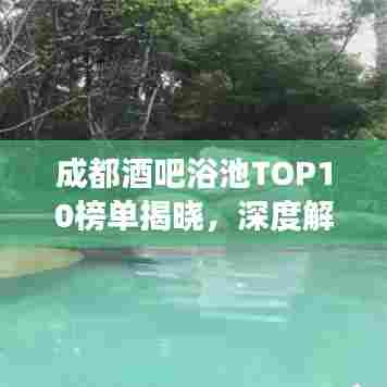 成都酒吧浴池TOP10榜单揭晓,深度解读与独家体验分享