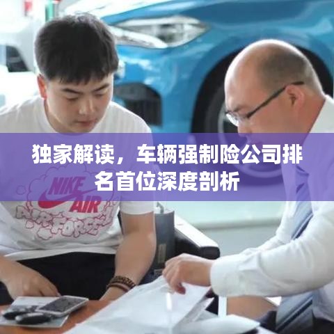 独家解读,车辆强制险公司排名首位深度剖析