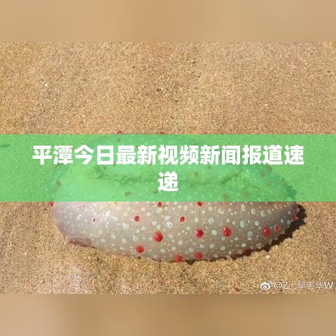 平潭今日最新视频新闻报道速递