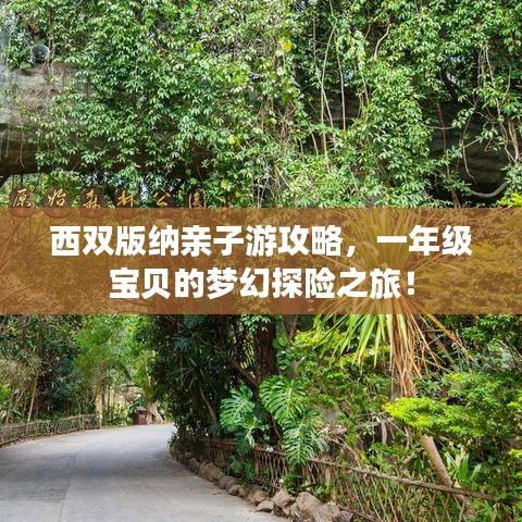 西双版纳亲子游攻略，一年级宝贝的梦幻探险之旅！