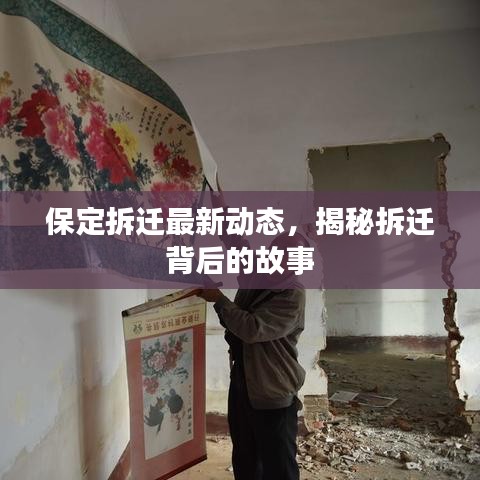 保定拆迁最新动态,揭秘拆迁背后的故事
