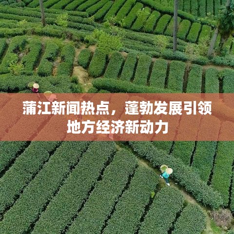 蒲江新闻热点，蓬勃发展引领地方经济新动力