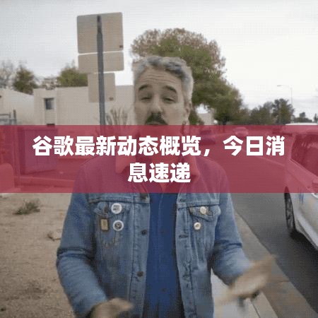 谷歌最新动态概览，今日消息速递