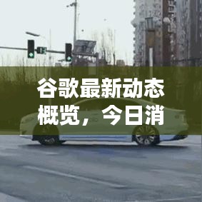 谷歌最新动态概览,今日消息速递