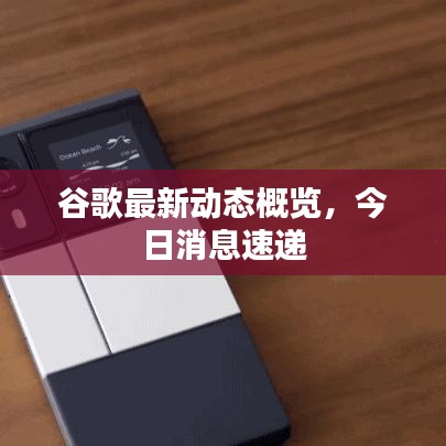 谷歌最新动态概览,今日消息速递