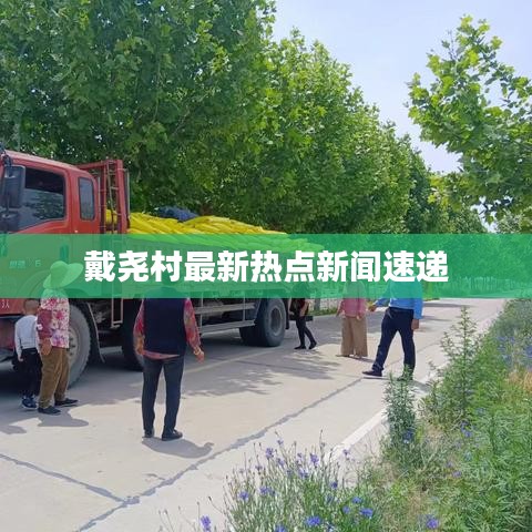 戴尧村最新热点新闻速递