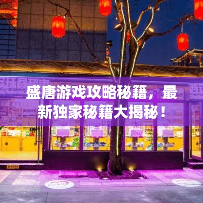 盛唐游戏攻略秘籍,最新独家秘籍大揭秘!
