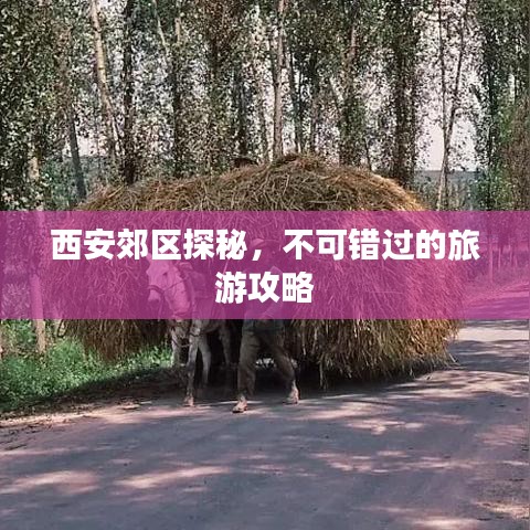 西安郊区探秘,不可错过的旅游攻略