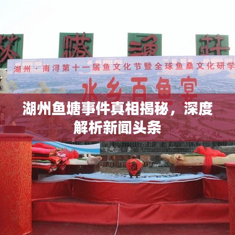 湖州鱼塘事件真相揭秘，深度解析新闻头条